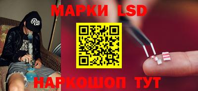 гидра Кингисепп