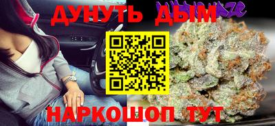 гидра Кингисепп