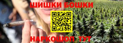 гидра Кингисепп