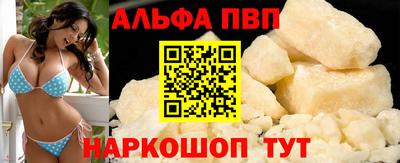 гидра Кингисепп