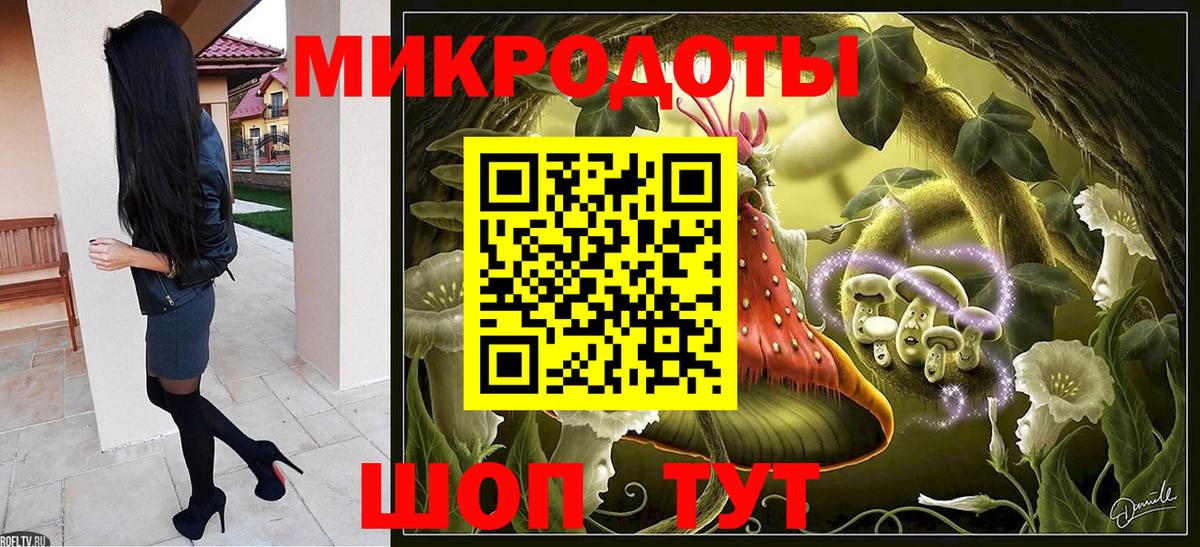 Псилоцибиновые грибы Psilocybe  Псилоцибиновые грибы прущие грибы  Вход с VPN  Керчь 