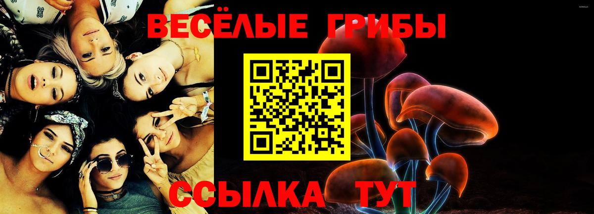 Псилоцибиновые грибы Psilocybe Керчь